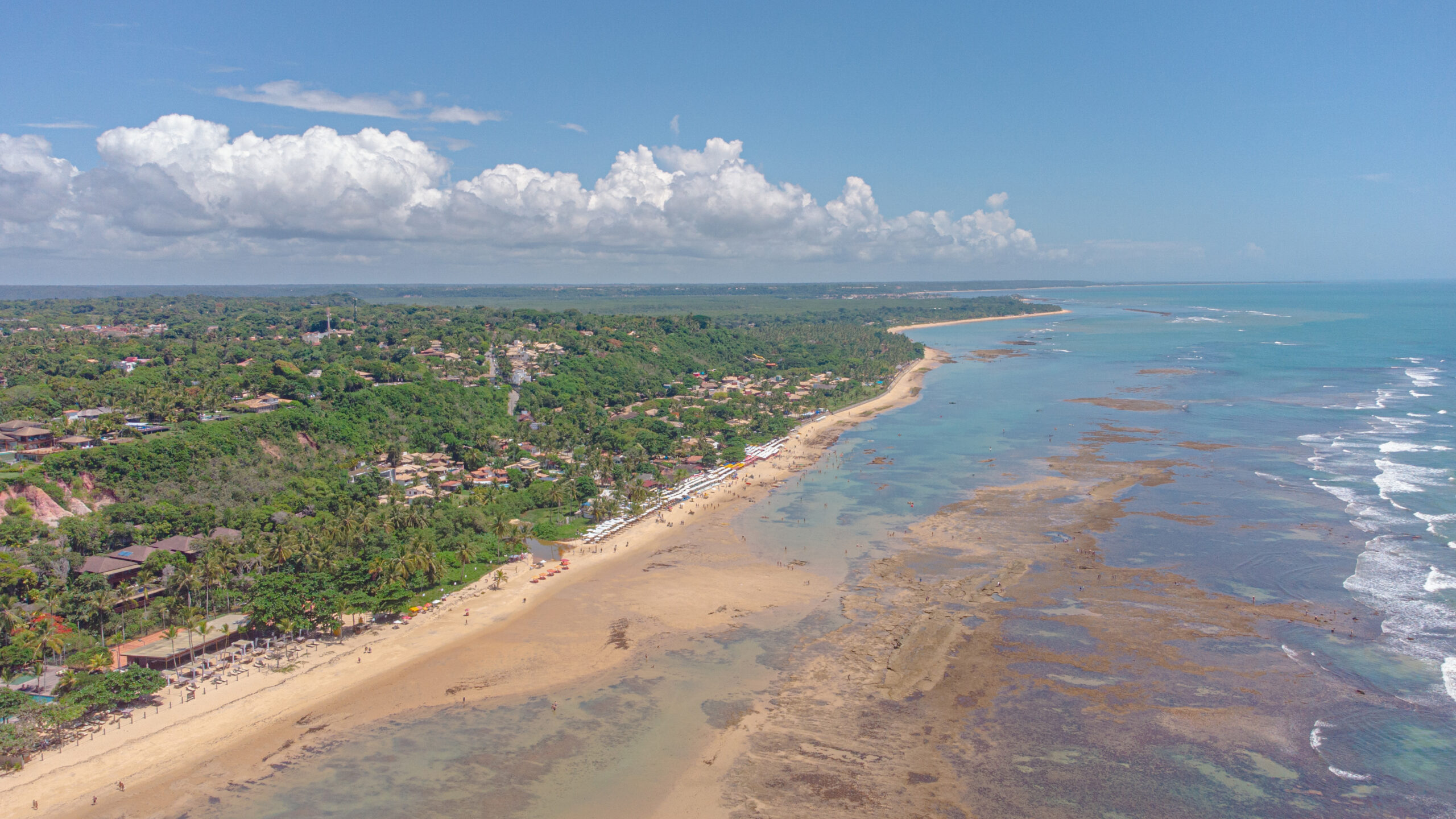 DJI_0184-scaled.jpg