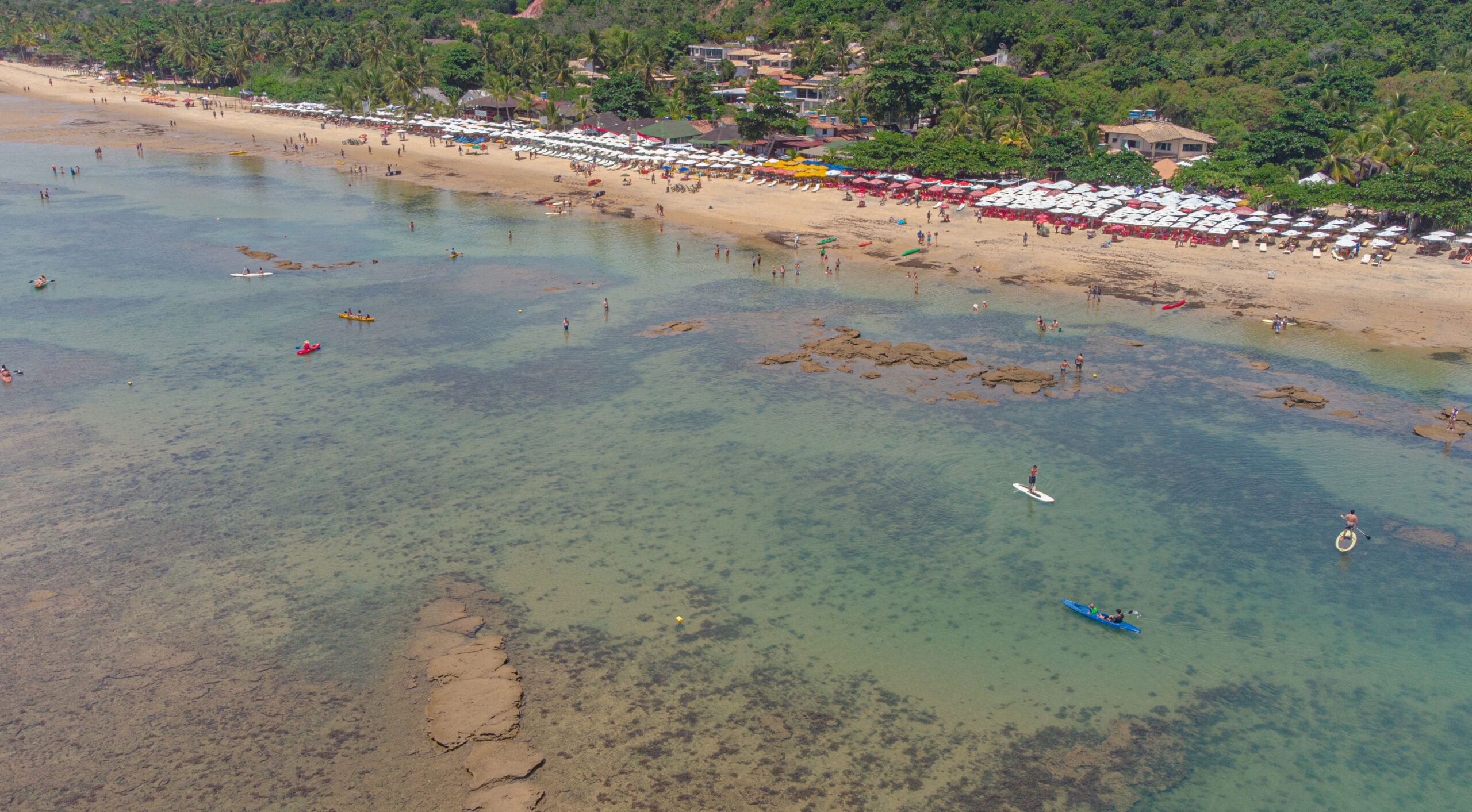 DJI_0201-scaled.jpg