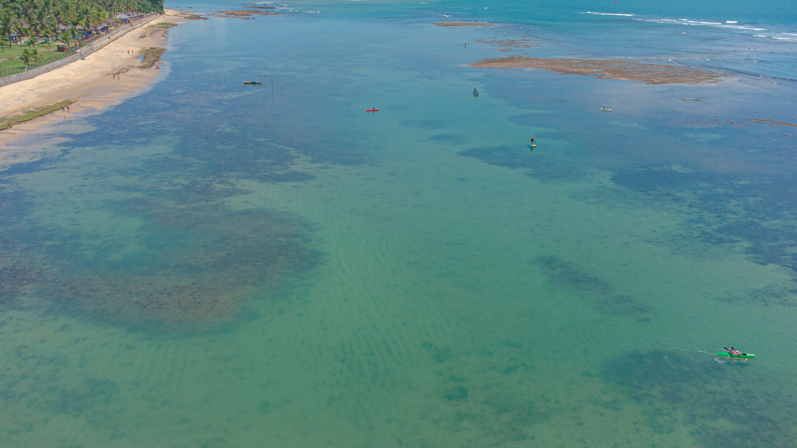 DJI_0206-scaled.jpg