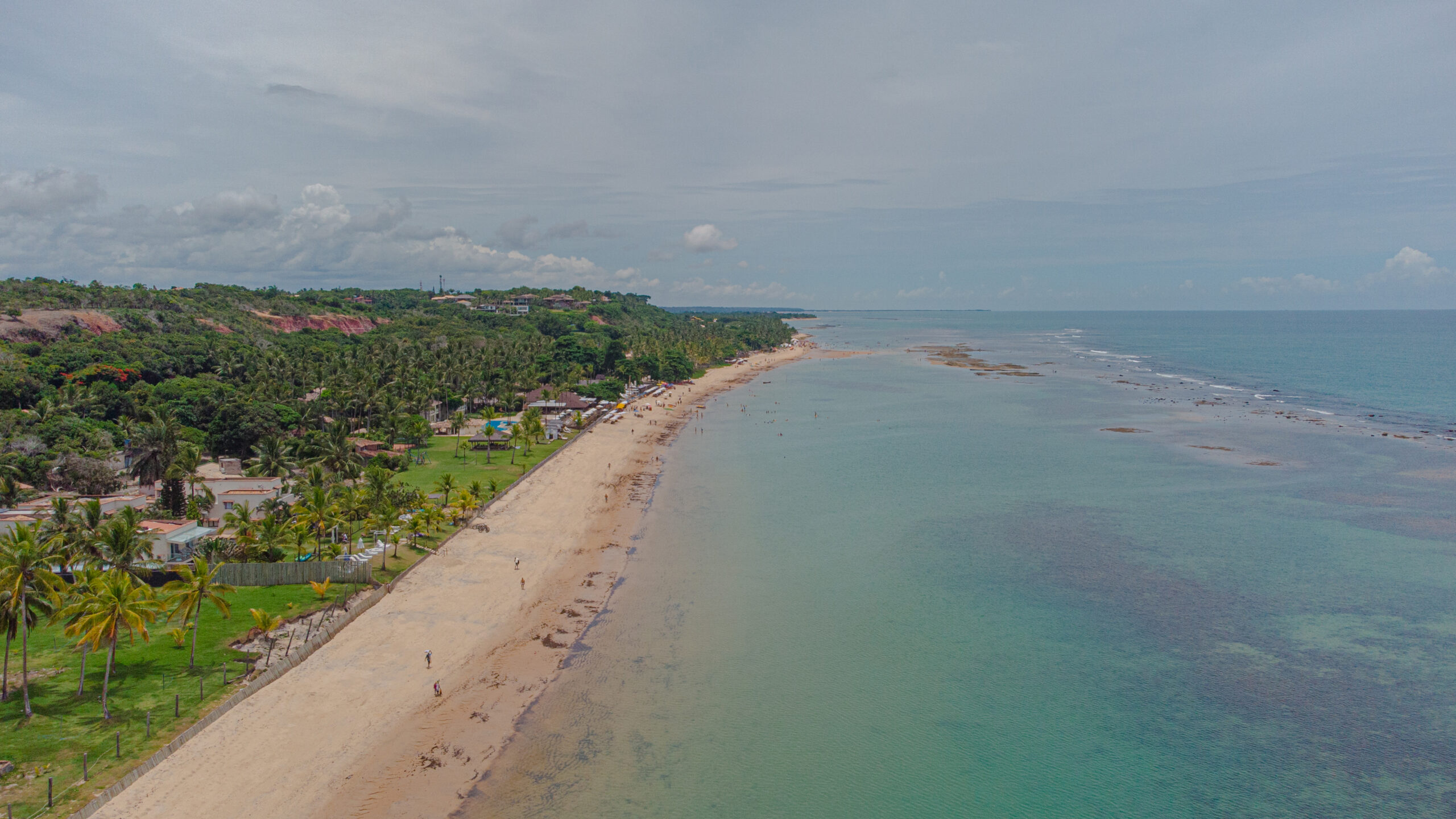 DJI_0273-scaled.jpg